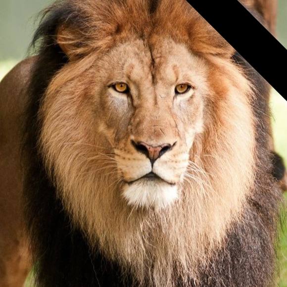 Meet your Posher, Andrea - Picture 1 of 1